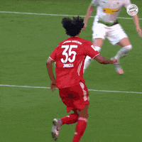 Celebration Goal GIF by FC Bayern Munich