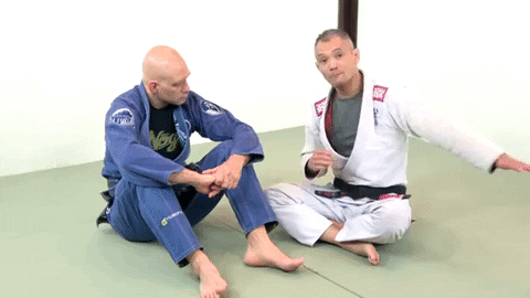 ritchieyip giphygifmaker bjj frames levers GIF