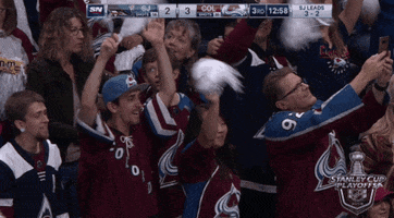 ice hockey sport GIF by NHL