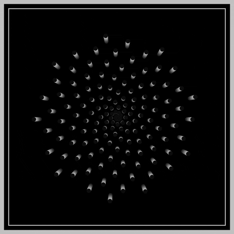 Mesmerizing Black And White GIF by xponentialdesign