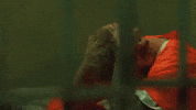 Im Busy GIF by Kode