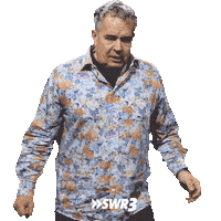 Oh No Wtf Sticker by SWR3