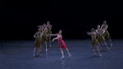 dance ballerinas GIF by New York City Ballet