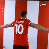 Premier League Football GIF by BT Sport