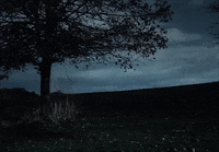 Music Video Running GIF by Mother Mother
