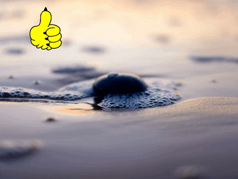 Germany Wow GIF by FranchiseCHECK.de