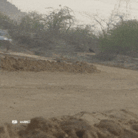 Fast Car Racing GIF by FIA World Rally Championship