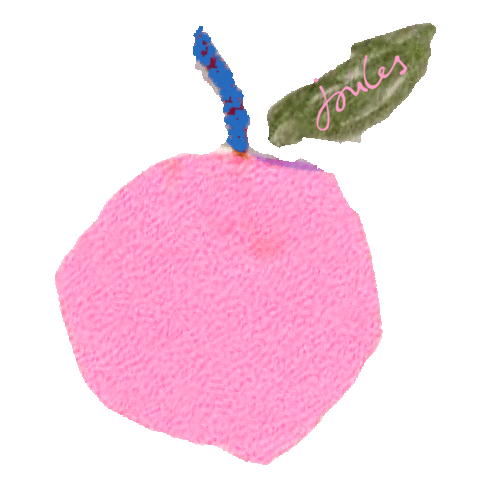 apple fruit Sticker by Joules
