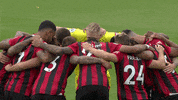 Football Soccer GIF by AFC Bournemouth