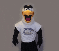 Number 1 Clap GIF by Georgia Southern University