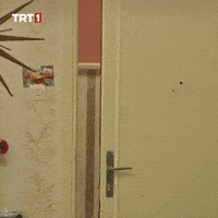 Ilker Ayrık Hani GIF by TRT