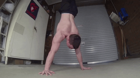 fitnessfaqs giphygifmaker GIF