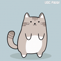 Cat Gay GIF by UGCPazar