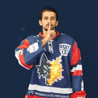 Sport Hockey GIF by BruleursDeLoups