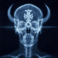 Is This Real Life GIF by The LSD Hotel