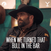 Paramount Network Bar GIF by Yellowstone