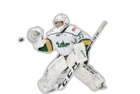 Go Bulls Sticker by USF Hockey Club