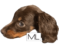 Dog Puppy Sticker by Maschalina Designs