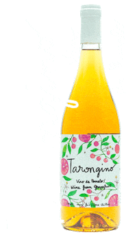 wine valencia Sticker by Tarongino - El Vino de Naranja