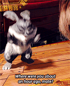 rise of the guardians rabbit GIF