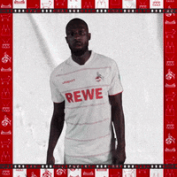 1 Fc Cologne Football GIF by 1. FC Köln