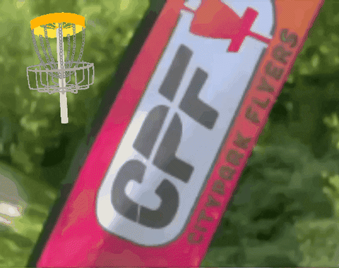 cityparkflyers giphygifmaker giphyattribution flyers disc golf GIF