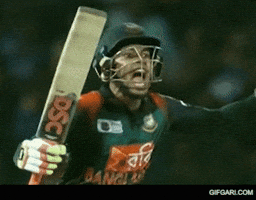 Mushfiqur Rahim Win GIF by GifGari