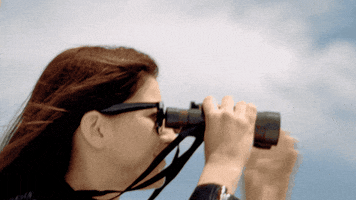 Los Angeles Sunglasses GIF by Hardly Art