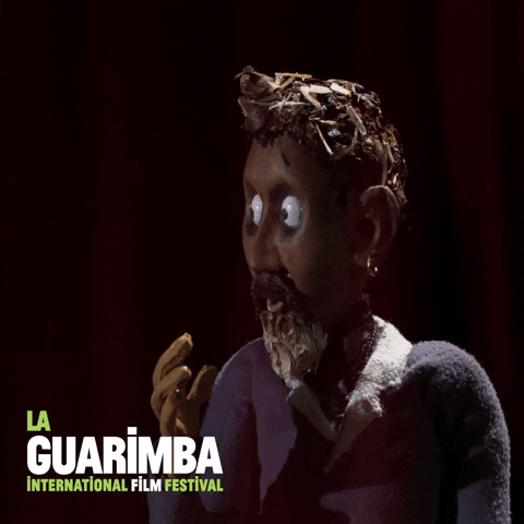 Oh My God Wow GIF by La Guarimba Film Festival