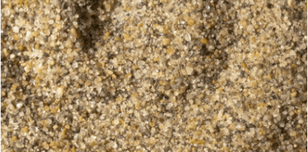 Beach Sand GIF by PBS Digital Studios