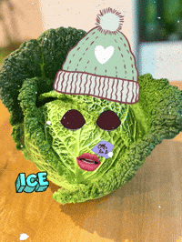 Winter Wintervibes GIF