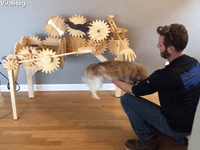 GIF by ViralHog