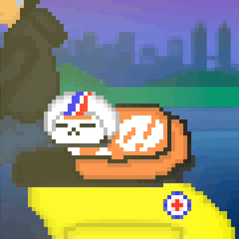 eynmaginaire cat ginger ollie ollie the cat GIF