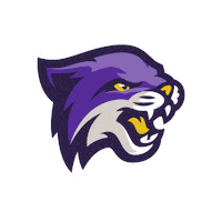 Wildcats Bu Sticker by Bethel University