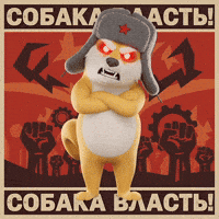 Angry Shiba Inu GIF by Doge Pound