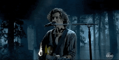 Shawn Mendes GIF by AMAs