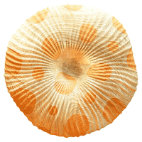 Dance Yes Sticker by Origins