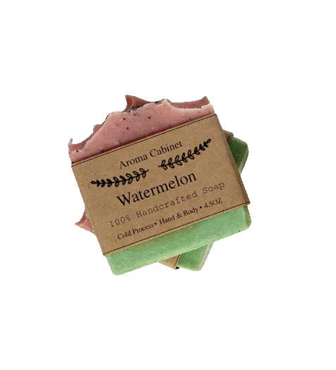Small Business Watermelon Sticker by luccicante co.