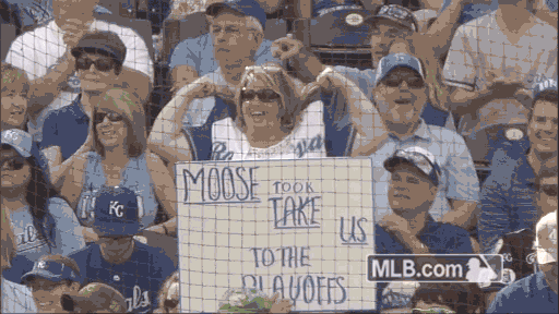 kc GIF by MLB