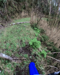 motowens scary creepy crash accident GIF