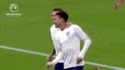 get in jesse lingard GIF by England