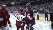 Arizona Coyotes GIF
