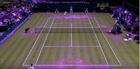 giphygifgrabber GIF