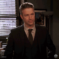 Season 19 Nbc GIF by Law & Order