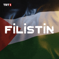 Flag Help GIF by TRT