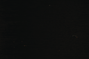 Gun Bullet GIF by Raye