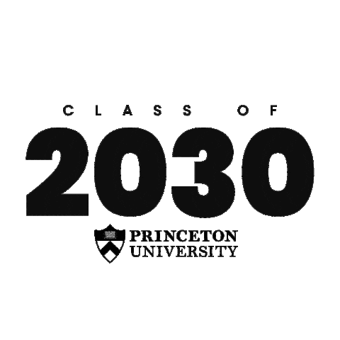 Princeton 2030 Sticker by Princeton University