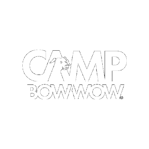 Sticker by Camp Bow Wow