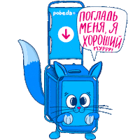 pobeda_aero cat cute sweet kitty Sticker