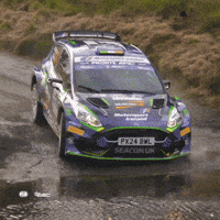 Motorsport Splash GIF by FIA European Rally Championship